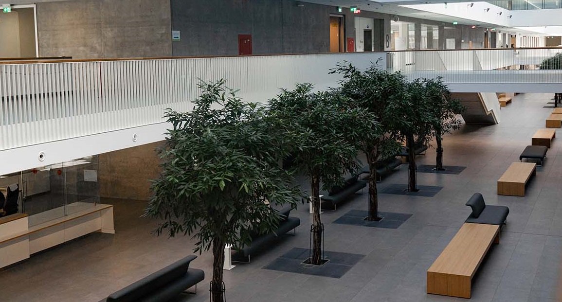 Applications for the Medicine and Surgery programme – BOLZANO offered by Università Cattolica, are now open for academic year 2024/2025